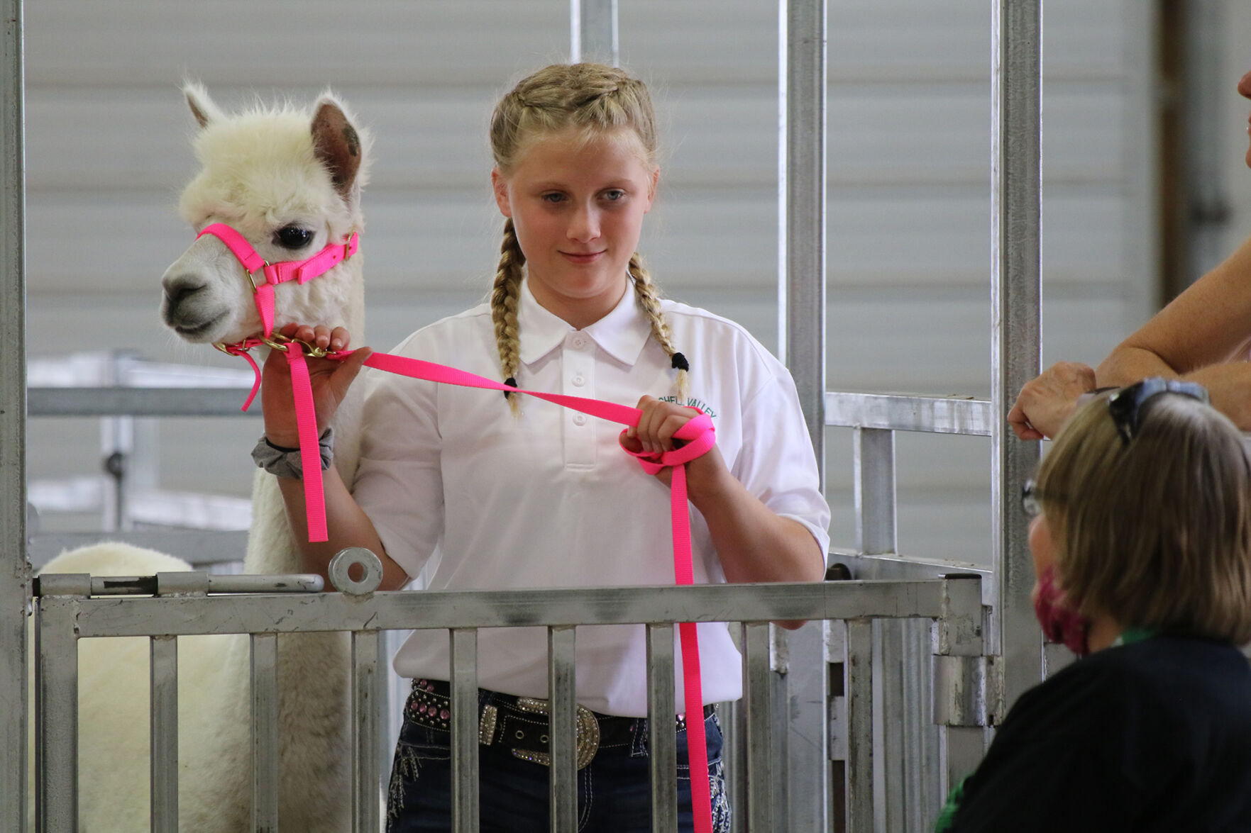 PHOTOS: Fiber Animal Show